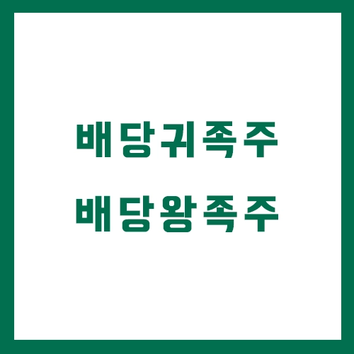 배당귀족주 TOP20